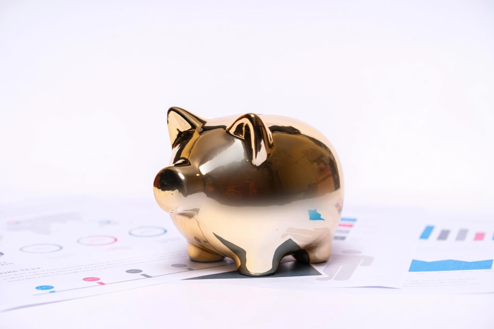 Gold piggy bank placed on financial statement documents